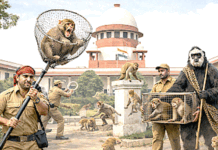 سپریم کورٹ کو بندر بھگانے والے ملازمین کی ہے تلاش ٹینڈر نوٹس جاری