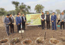 بھارت اسٹیٹ بینک کی ماحولیاتی پہل: بھوپال میں 2.5 ایکڑ کا مایاوکی نامی حیاتیاتی جنگل تیار