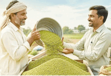 کسانوں کے حق میں دو بڑے فیصلے مونگ کی خریداری کے لیے سلاٹ بکنگ کی آخری تاریخ 10 اگست اور مونگ و اْڑد کی سرکاری خریداری کی آخری تاریخ 20 اگست