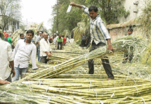 مرکز کی نئی ایتھنول خرید پالیسی سے مہاراشٹر کی شوگر صنعت فکرمند، 40 ہزار کروڑ کی سرمایہ کاری پر خطرہ